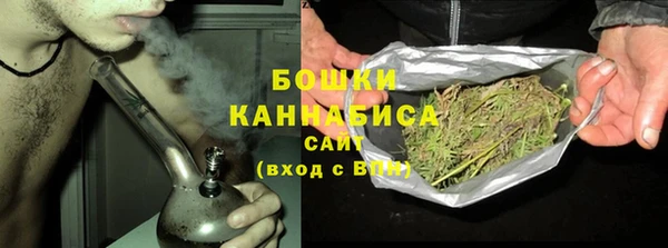 ECSTASY Вяземский